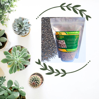 Đá Pumice (Đá Bọt Núi Lửa) 1 Lít