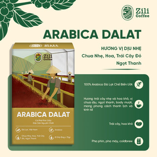 Cà Phê Arabica Dalat - Zili Coffee - VỊ CHUA NHẸ, HOA, TRÁI CÂY ĐỎ, NGỌT THANH [Hộp 8 TÚI LỌC x 15g]