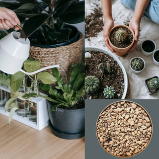 Đá Pumice (Đá Bọt Núi Lửa) 1 Lít