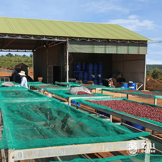 Cà Phê Phin Nhanh - Zili Coffee - HƯƠNG THƠM NHẸ NHÀNG, ĐẬM ĐẮNG VỪA, HẬU NGỌT [Hộp 8 Phin]