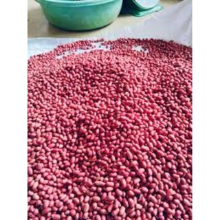 lạc ri đỏ điện biên