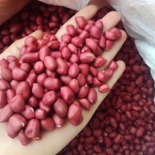lạc ri đỏ điện biên