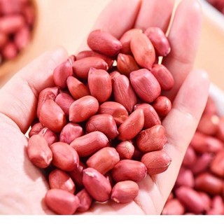 lạc ri đỏ điện biên