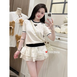 Áo Len Ngắn Tay Gắn Tag Basic QCCC Cao Cấp
