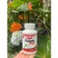 Viên Uống Bổ Sung NUTRIDOM FOLATE 400, Hỗ Trợ Tạo Hồng Cầu, Giảm Nguy Cơ Thiếu Folate