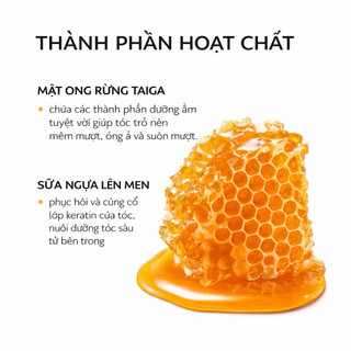 Dầu Gội Natura Siberica Phục Hồi Tóc Hư Tổn Keratin 400ml Nga