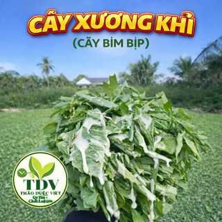 1kg Xương khỉ (cây bìm bịp) sấy khô, ngừa trĩ, đau dạ dày, xơ gan, thận, xoang, tăng cường sức đề kháng