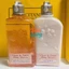 Gel Tắm Hương Hoa L'Occitane Cherry Blossom Bath & Shower Gel 250ml / Body Milk Lotion / Shea Ultra Rich Body Lotion