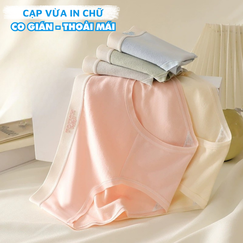 Quần Lót Nữ Cotton Cao Cấp Thiết Kế Cạp Chun Mềm Mại, Quần Chip Nữ Màu Pastel Nhẹ Nhàng ZANABRA L4111