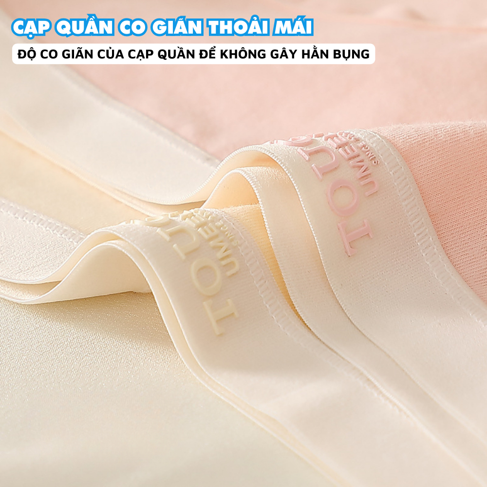 Quần Lót Nữ Cotton Cao Cấp Thiết Kế Cạp Chun Mềm Mại, Quần Chip Nữ Màu Pastel Nhẹ Nhàng ZANABRA L4111