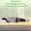 Nệm Foam Massage Gấp 3 Việt Thành, Phân Tán Lực Đều, Lưu Thông Không khí, Nâng Đỡ, Đàn Hồi, Êm Ái.