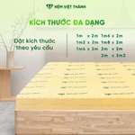[MUA 1 TẶNG 7] Nệm Foam Massage Việt Thành Nguyên Tấm, Nâng Đỡ Cơ Thể, Đàn Hồi, Êm Ái, Hỗ Trợ Xương Khớp Tốt. — ảnh 8