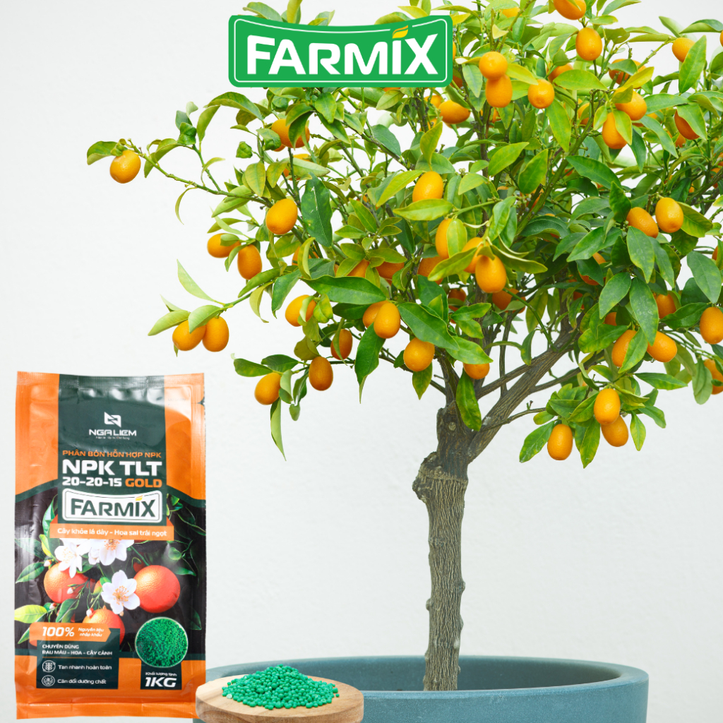 Phân Bón NPK 20-20-15 Gold Farmix – Dinh Dưỡng Cân Đối Cho Cây Khỏe Toàn Diện (1KG)
