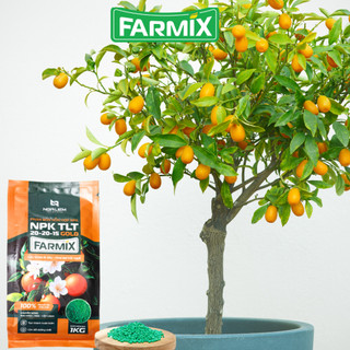 NPK 20-20-15 Gold Farmix – Phân Bón Cân Đối Giúp Cây Phát Triển Ổn Định (1KG)