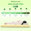 Nệm Foam VITA Việt Thành Nguyên Tấm Cao Cấp, Nâng Đỡ Cột Sống, Thoáng Khí, Êm Ái, Bảo Hành 15 Nam Xẹp Lún