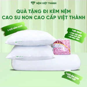 Quà Tặng Cao Cấp Nệm Foam Việt Thành (02 Gối Nằm Gòn 40x60, 01 Gối Ôm Gòn 35x100, 01 Bộ Drap Thun 4 Món )