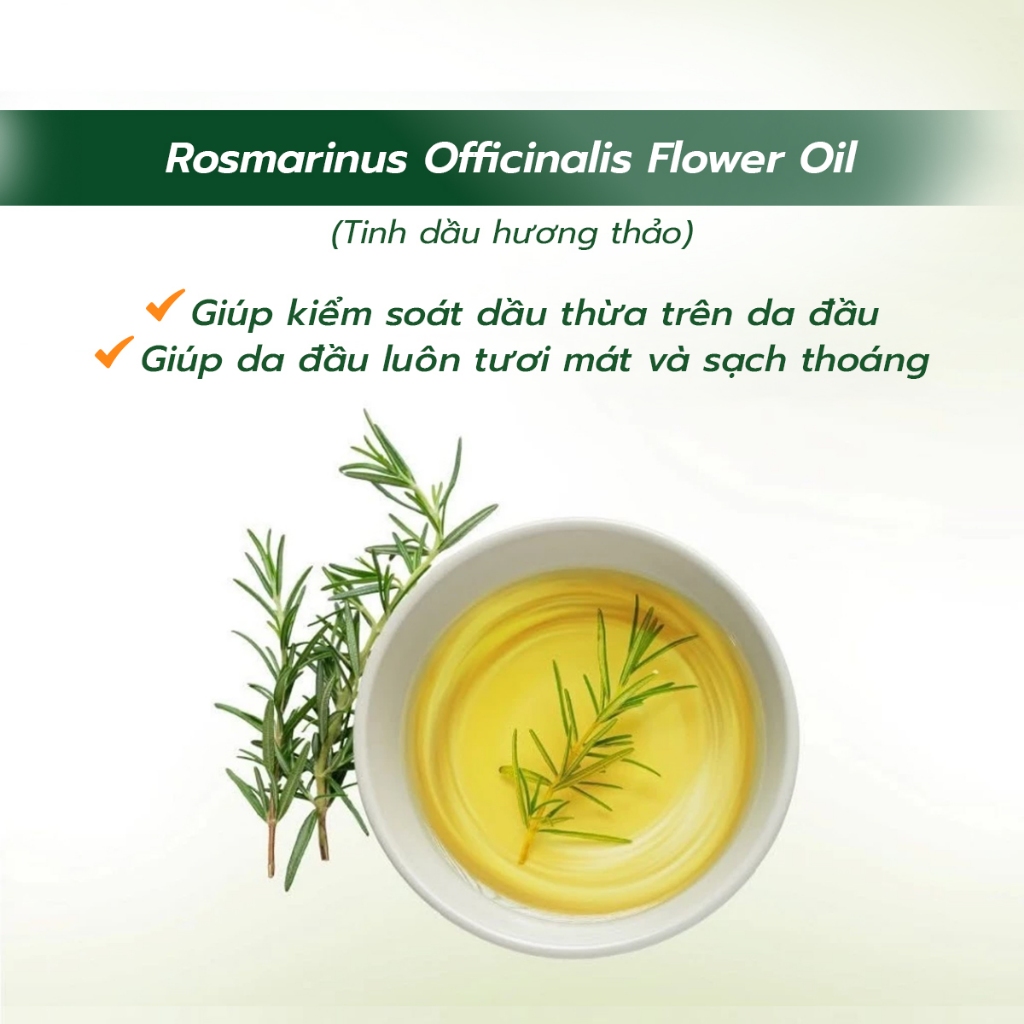 Dầu Gội Hỗ Trợ Kiểm Soát Dầu Làm Phồng Tóc Giảm Ngứa Và Làm Sạch Da Đầu ZiiiT 150ml/300ml