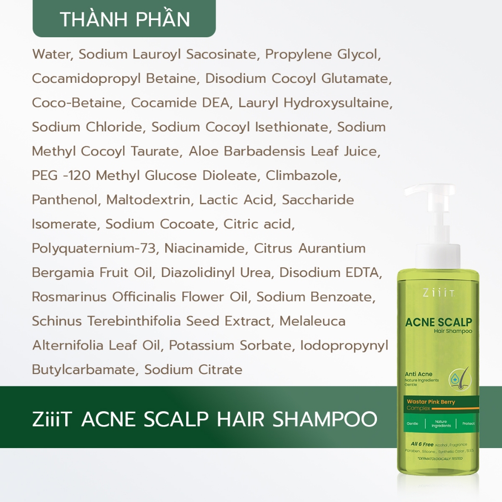 Dầu Gội Hỗ Trợ Kiểm Soát Dầu Làm Phồng Tóc Giảm Ngứa Và Làm Sạch Da Đầu 300ml ZiiiT