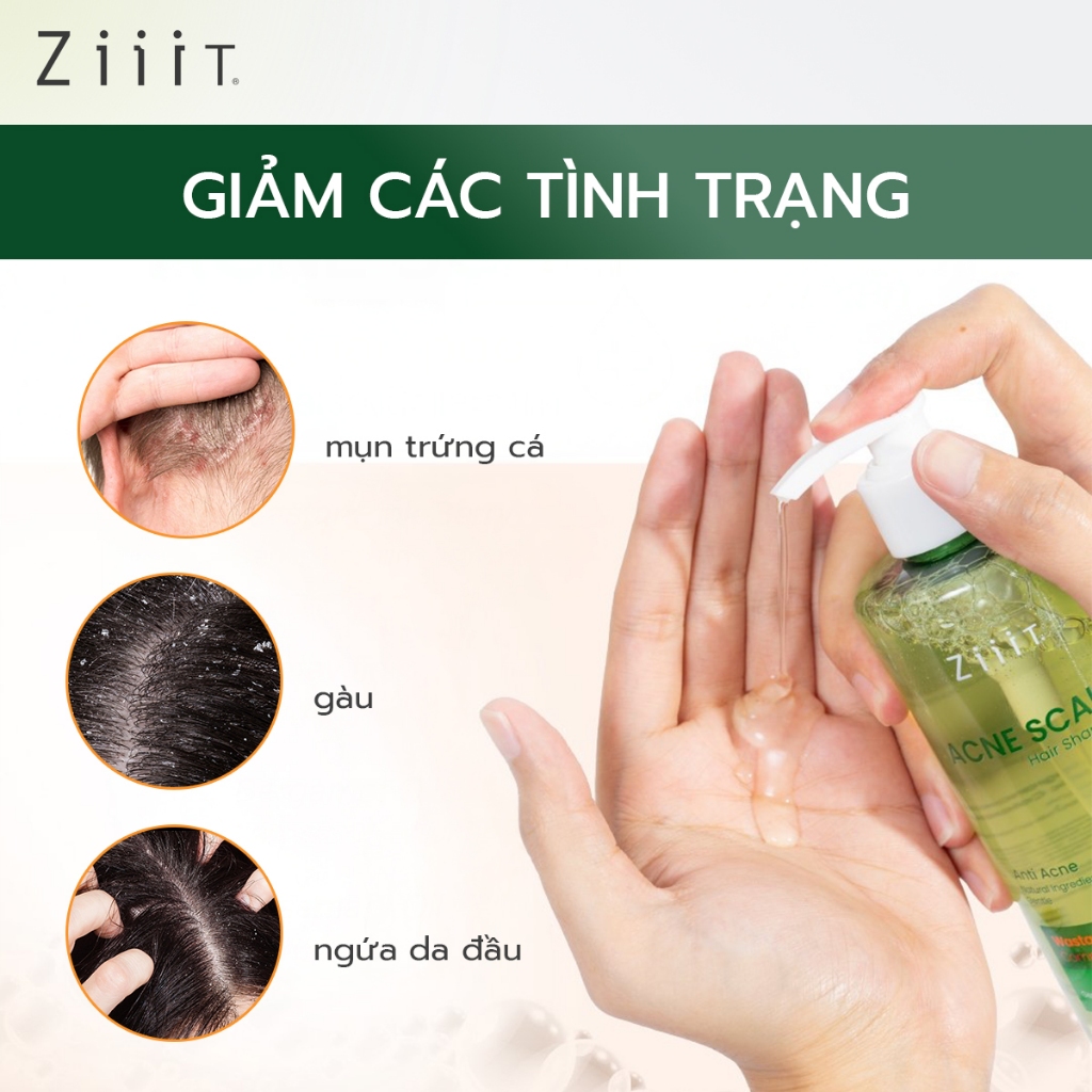 Combo Dầu Gội Hỗ Trợ Kiểm Soát Dầu 150ml và Sữa Tắm Giảm Mụn Lưng BHA 2% Kháng Khuẩn 150ml