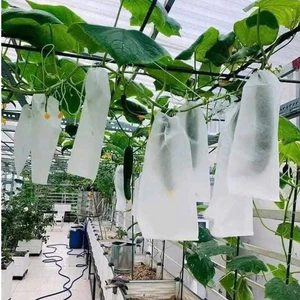 Combo 100 Túi Bọc Hoa Quả Ổi Bưởi Xoài Na Mướp, Nhiều Kích Thước,Vải không dệt có dây rút