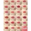 SON TINT LÌ ROMAND NEW THE JUICY LASTING TINT (3.5g)