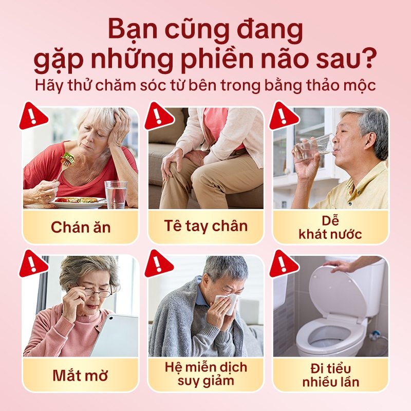 Tong Ren Tang Trà Thảo Mộc Cho Người Tiểu Đường – Hỗ Trợ Ổn Định Đường Huyết, Uống Hàng Ngày