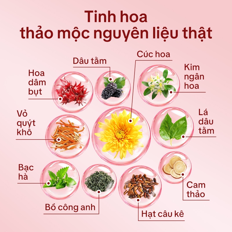 Tong Ren Tang Trà Thảo Mộc Cho Người Tiểu Đường – Hỗ Trợ Ổn Định Đường Huyết, Uống Hàng Ngày