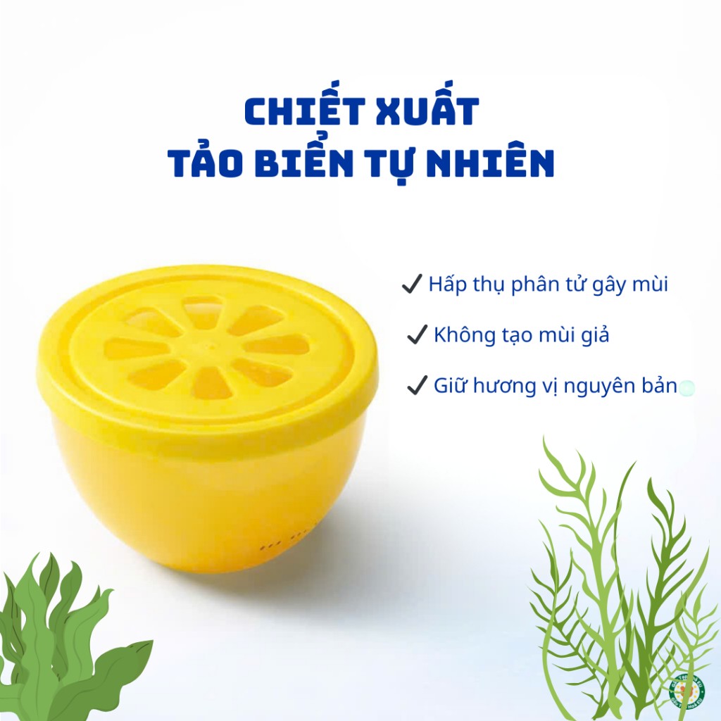 Sáp Khử Mùi Tủ Lạnh Denkmit Đức 40g – chiết xuất từ Tảo Biển | Hấp Thụ Mùi Hôi, Giữ Hương Thực Phẩm. | BigBuy360 - bigbuy360.vn