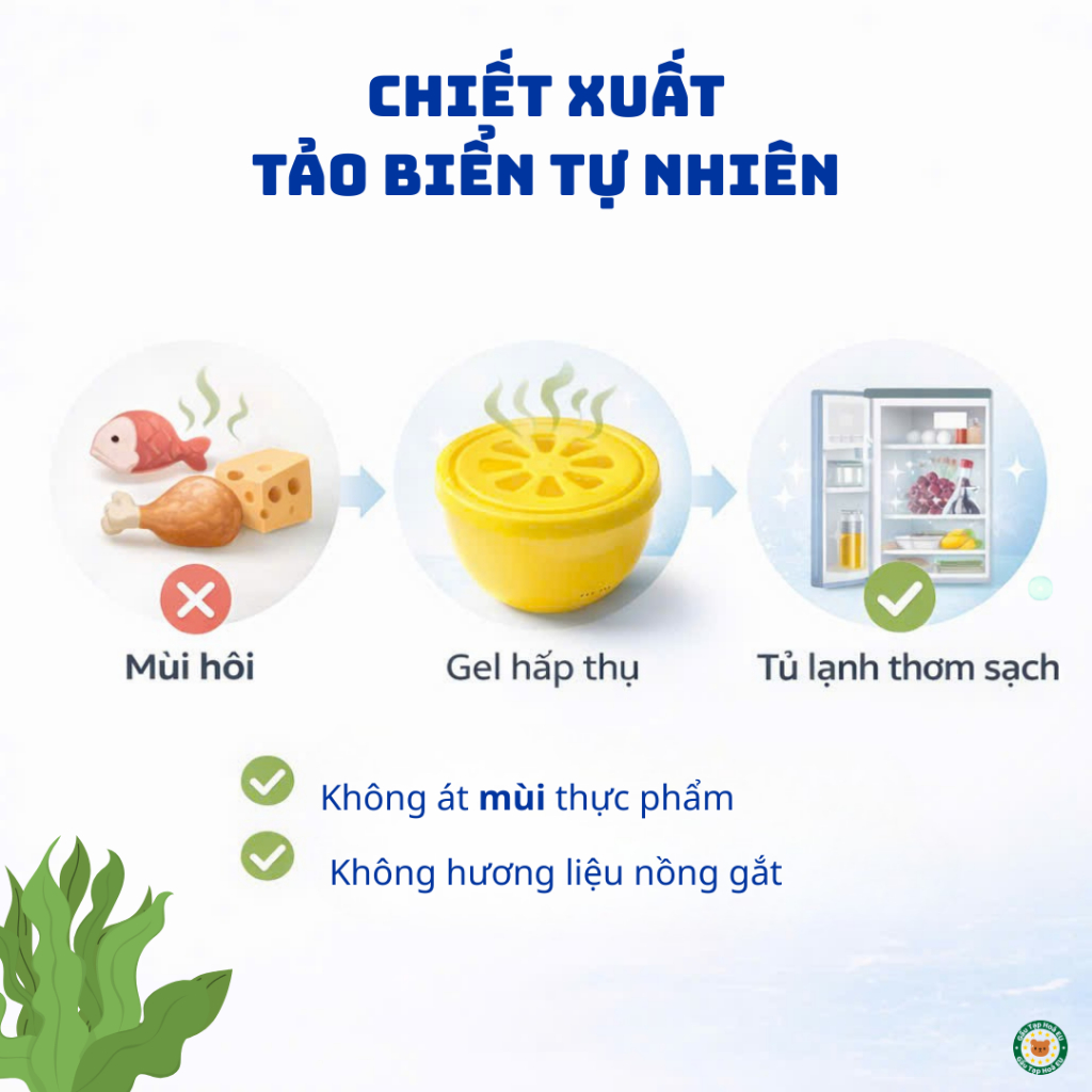 Sáp Khử Mùi Tủ Lạnh Denkmit Đức 40g – chiết xuất từ Tảo Biển | Hấp Thụ Mùi Hôi, Giữ Hương Thực Phẩm. | BigBuy360 - bigbuy360.vn