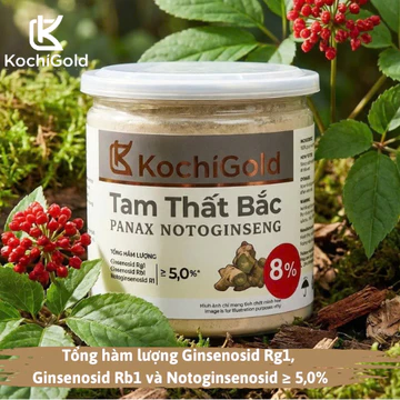Tam Thất Bắc Nguyên Chất KOCHIGOLD [Dạng Bột 200g], chuẩn hàm lượng