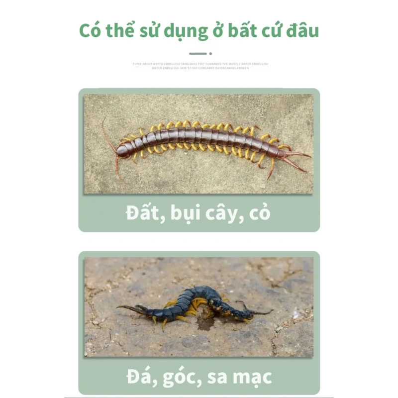 Bột diệt chân dài Bột diệt rết bột diệt côn trùng rắc xung quanh khu vực nhà, kích cỡ phù hợp cho gia đình an toàn 100%