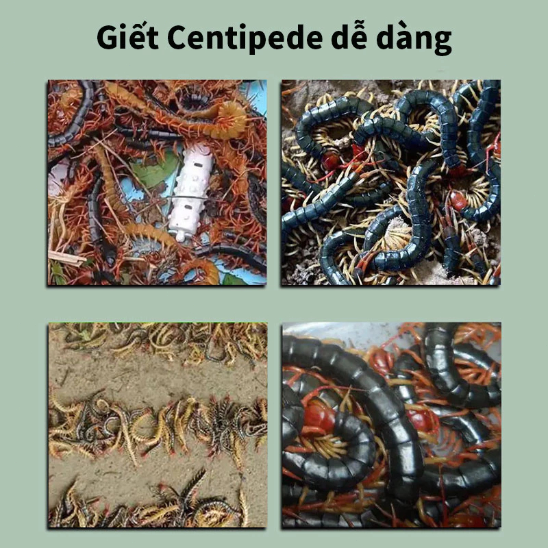 Bột diệt chân dài Bột diệt rết bột diệt côn trùng rắc xung quanh khu vực nhà, kích cỡ phù hợp cho gia đình an toàn 100%