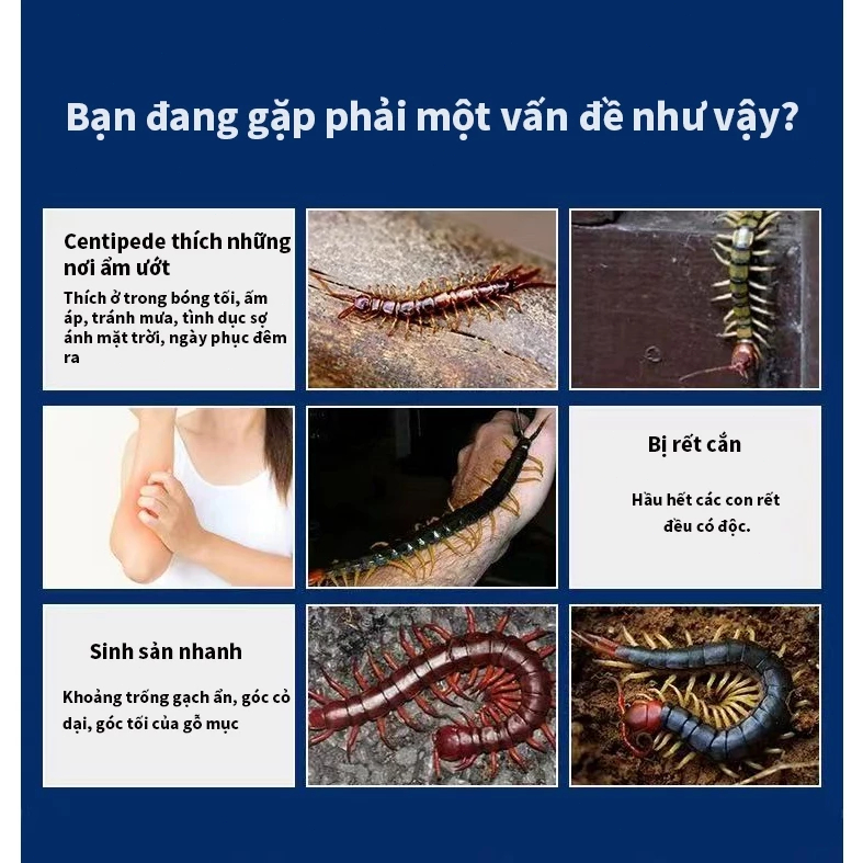 Bột diệt chân dài Bột diệt rết bột diệt côn trùng rắc xung quanh khu vực nhà, kích cỡ phù hợp cho gia đình an toàn 100%