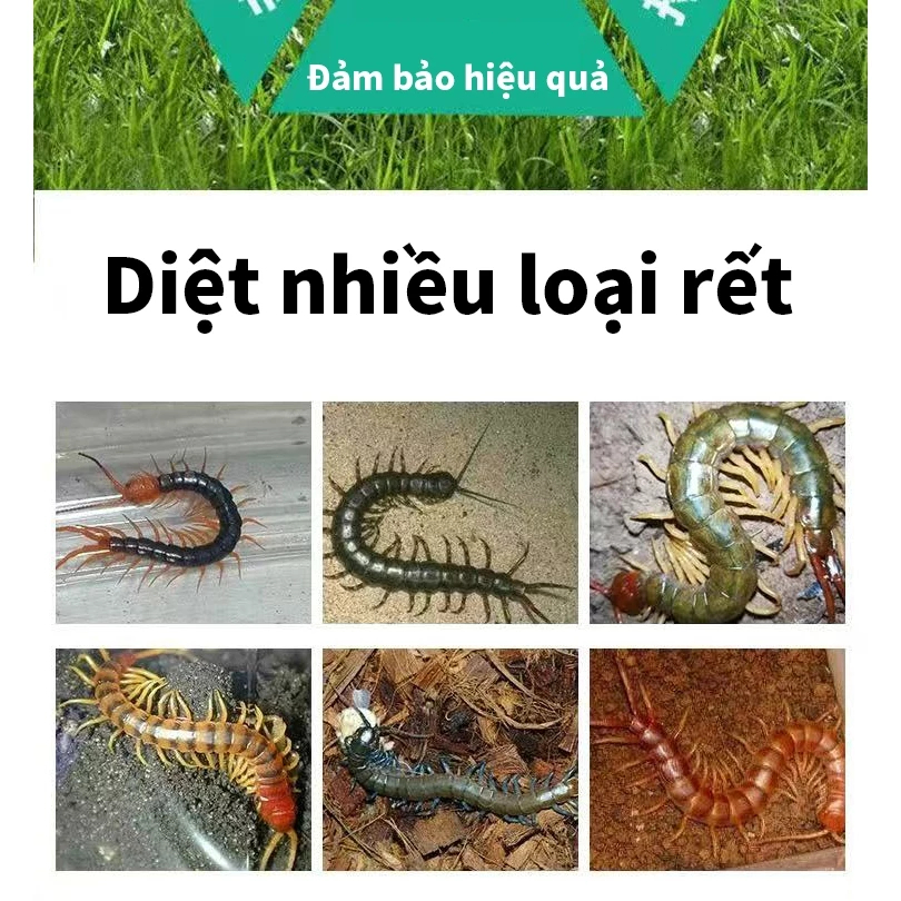 Bột diệt chân dài Bột diệt rết bột diệt côn trùng rắc xung quanh khu vực nhà, kích cỡ phù hợp cho gia đình an toàn 100%