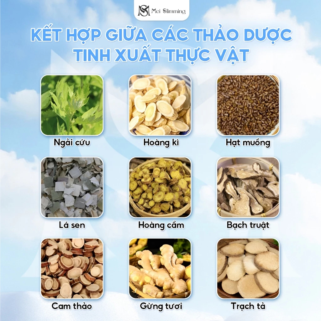 Miếng Dán Bụng Thảo Mộc + Viên Slimming – Giảm Mỡ Bụng, Eo Thon, Hỗ Trợ Giảm Cân, Thải Độc, Thoải Mái Bụng Cả Ngày