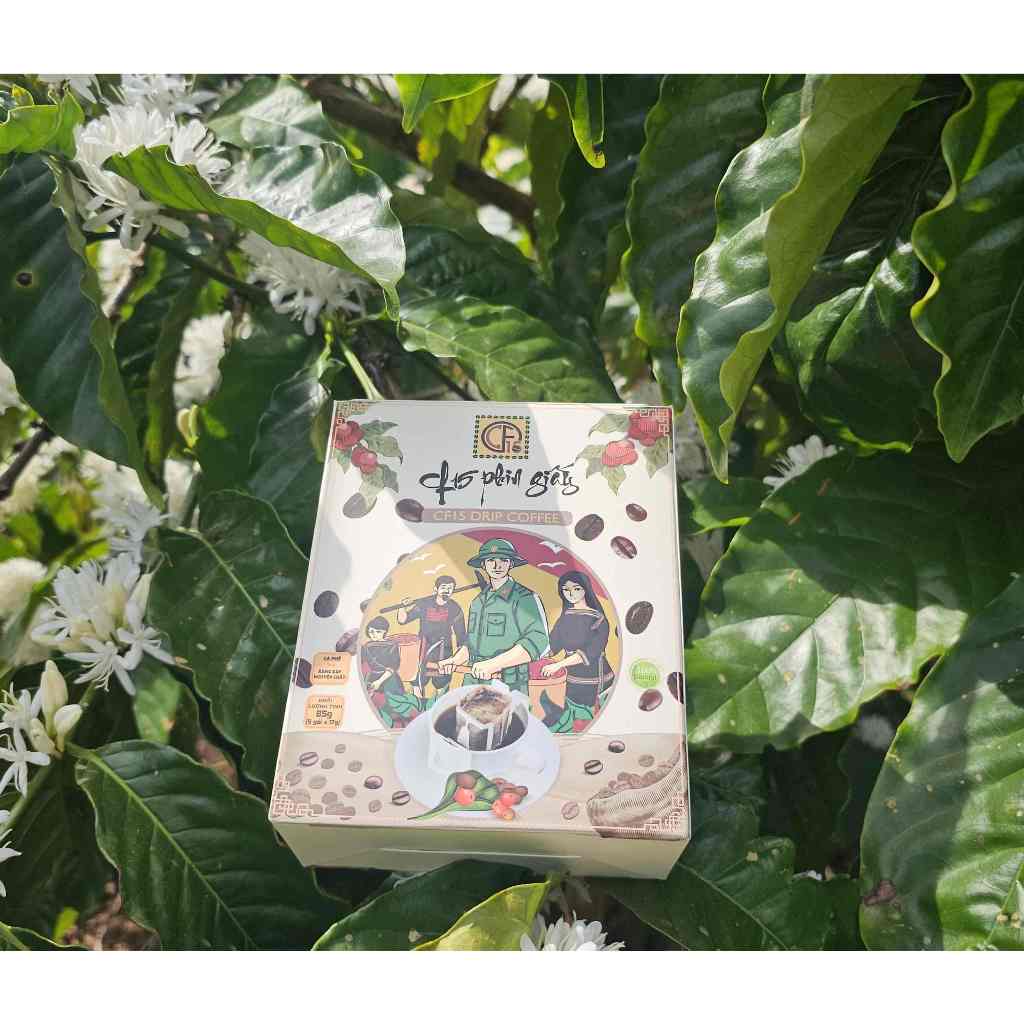 Cà Phê Phin Giấy - Hộp 5 Gói - CF15 Cà Phê Người Lính ( Robusta Nguyên Chất)