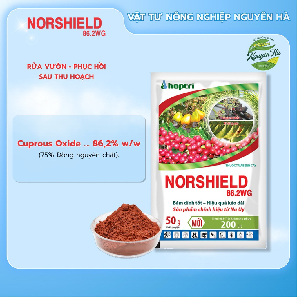 NORSHIELD 86.2WG - Đồng đỏ quản lý bệnh thán thư, rỉ sắt gói 50g