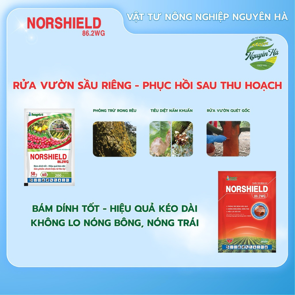 NORSHIELD 86.2WG - Đồng đỏ quản lý bệnh thán thư, rỉ sắt gói 50g