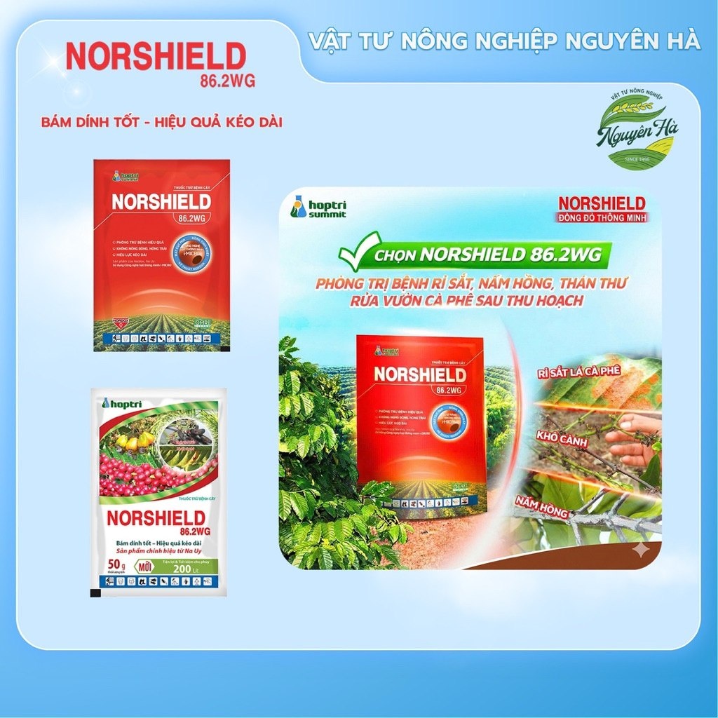 NORSHIELD 86.2WG - Đồng đỏ quản lý bệnh thán thư, rỉ sắt gói 50g