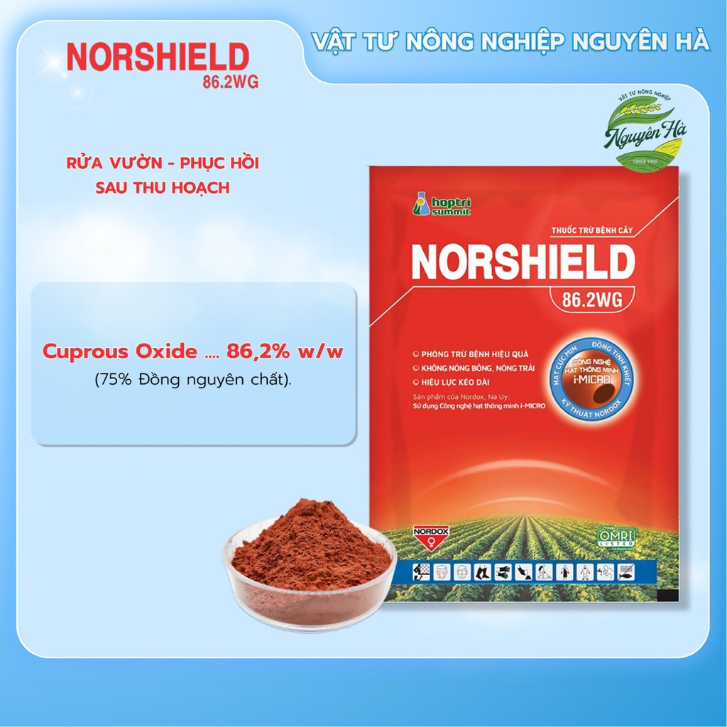 NORSHIELD 86.2WG - Đồng đỏ quản lý bệnh thán thư, rỉ sắt gói 50g