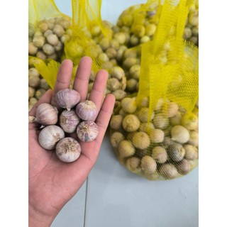 Tỏi cô đơn Sơn La,tỏi 1 nhánh, size vừa,tỏi làm gia vị,tỏi sạch ,thơm nồng,hàng khô tự nhiên,không hoá chất bảo quản