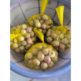 Tỏi cô đơn Sơn La,tỏi 1 nhánh, size vừa,tỏi làm gia vị,tỏi sạch ,thơm nồng,hàng khô tự nhiên,không hoá chất bảo quản