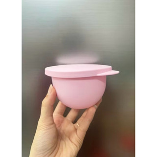 Hộp tupperware 200ml, tup Malay, hộp tròn kín khí, kín mùi