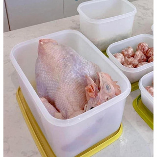 Hộp đông dẻo 2.5L tupperware, tup Trung, trữ thực phẩm luôn tươi