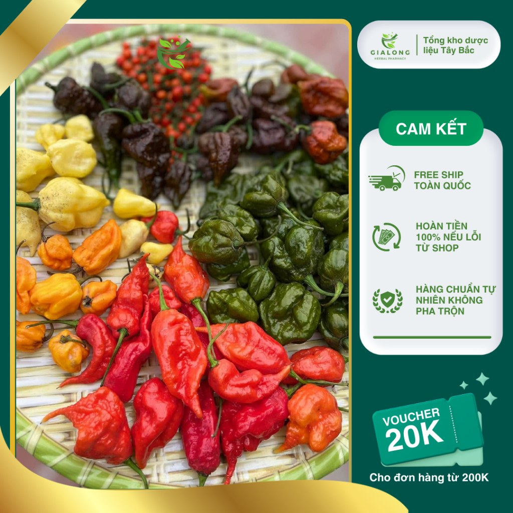 Set Ớt Siêu Cay Thách Thức Giới Hạn - Tổng Hợp Các Dòng Ớt Cay Nhất Thế Giới