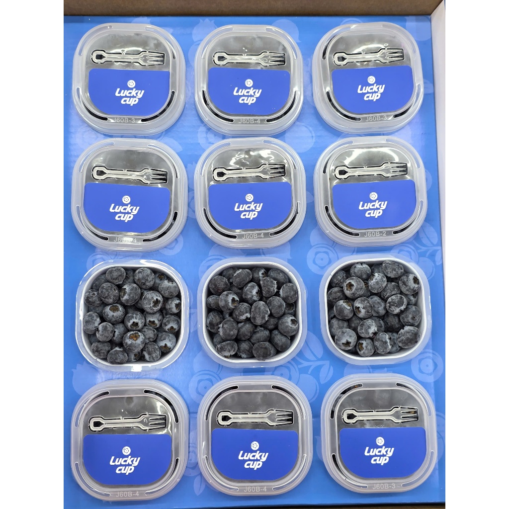 1箱12パック入り。新鮮ブルーベリー 藍苺　蓝莓 quả Việt Quất Ship Hỏa Tốc HCM 1-2 giờ ] 1 thùng việt quất ( 12 cup x 60g