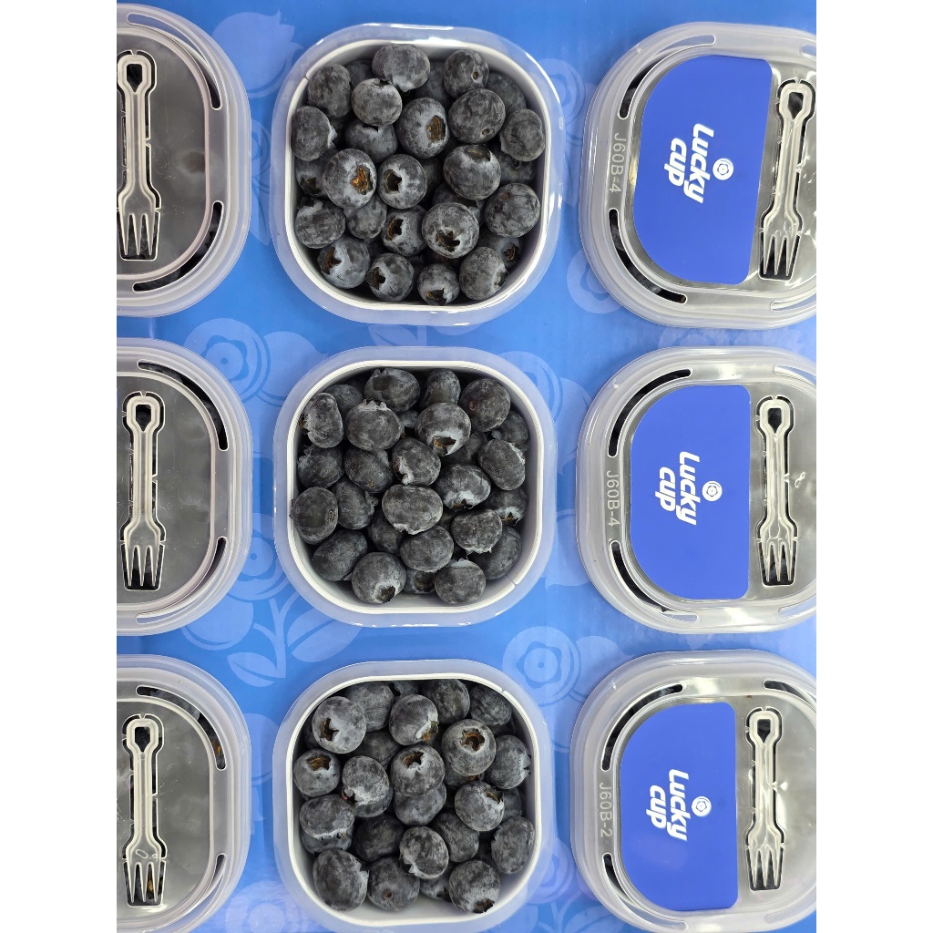 Ship Hỏa Tốc HCM 1-2 giờ ] 1 thùng việt quất ( 12 cup x 60g