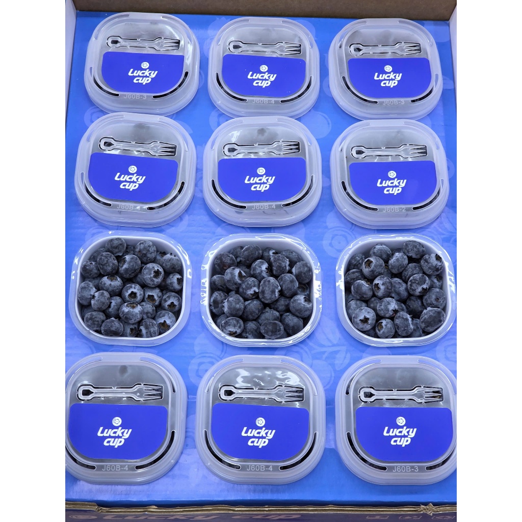 Ship Hỏa Tốc HCM 1-2 giờ ] 1 thùng việt quất ( 12 cup x 60g