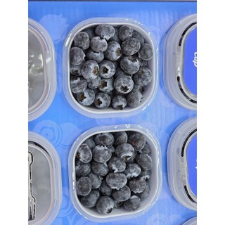 Value Great Quất Việt quả 藍苺　蓝莓 1箱12パック入り。新鮮ブルーベリー Light Count 12 oz 6 Yogurt Nonfat Blueberry Strawberry 果物