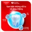 Bộ 3 Kem Đánh Răng Colgate Muối Lá Ổi Hồng giảm hôi miệng và vi khuẩn tích tụ 150g/ tuýp
